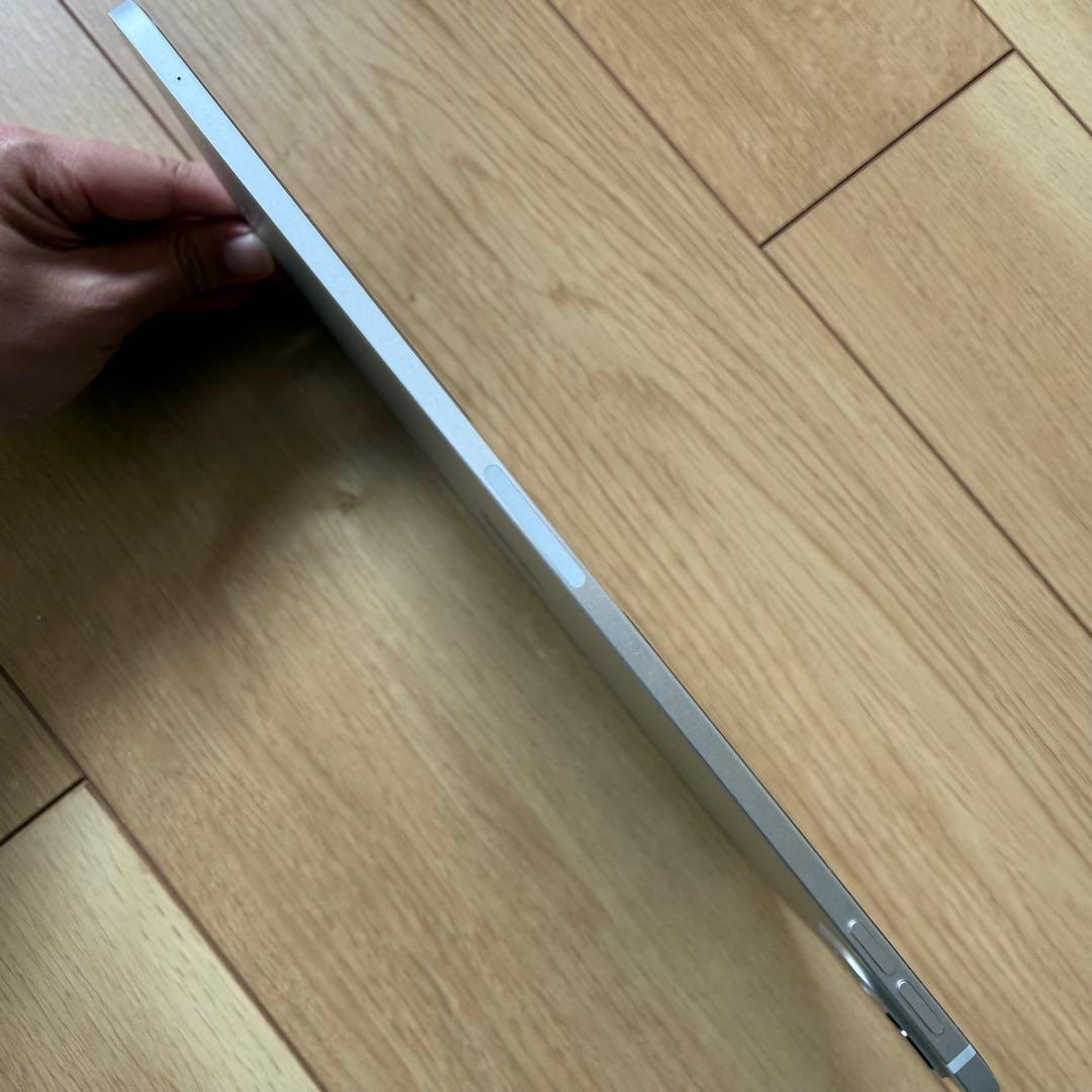 Apple Care+残有り 新品同様 M4 iPad Pro 11 シルバー