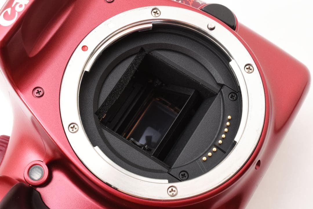 【美品】Canon キャノン Kiss X50 Wレンズセット　✨お得セットつき