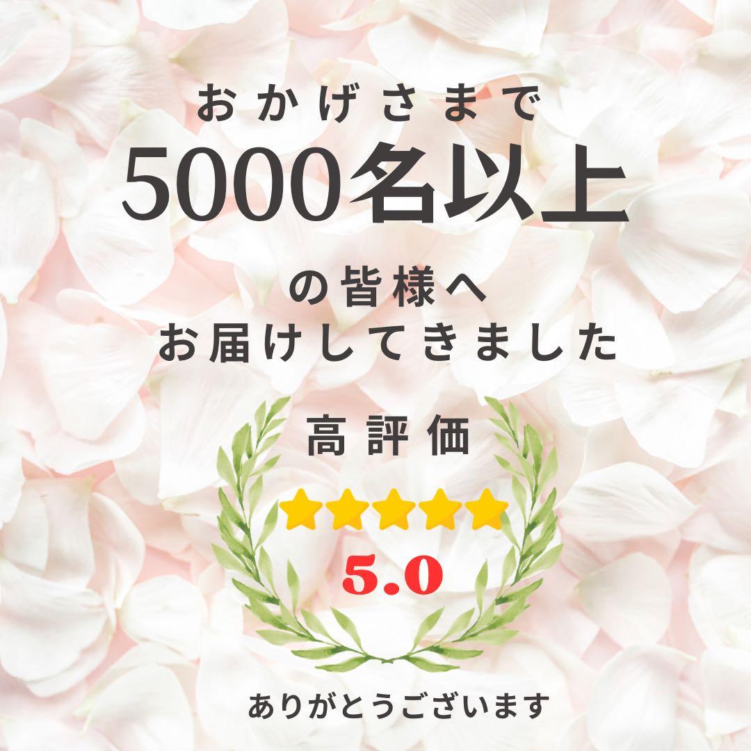 【特大1mサイズ 正月しめ縄リース】モダン迎春装飾｜店舗・商業用 光触媒フラワー