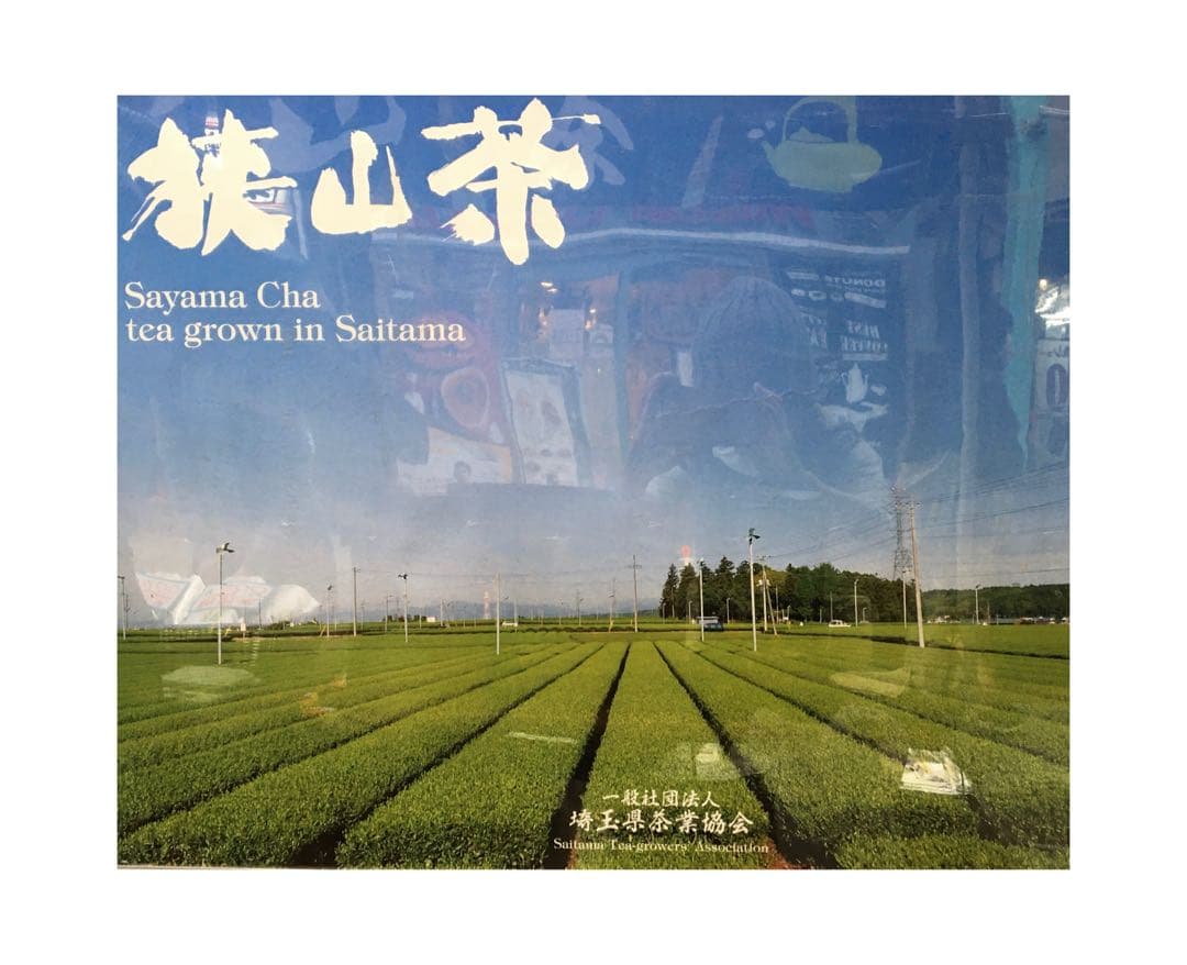 【狭山茶】茶畑直販☆特上煎茶100gx6本(令7年産)深蒸し緑茶日本茶お茶無添加