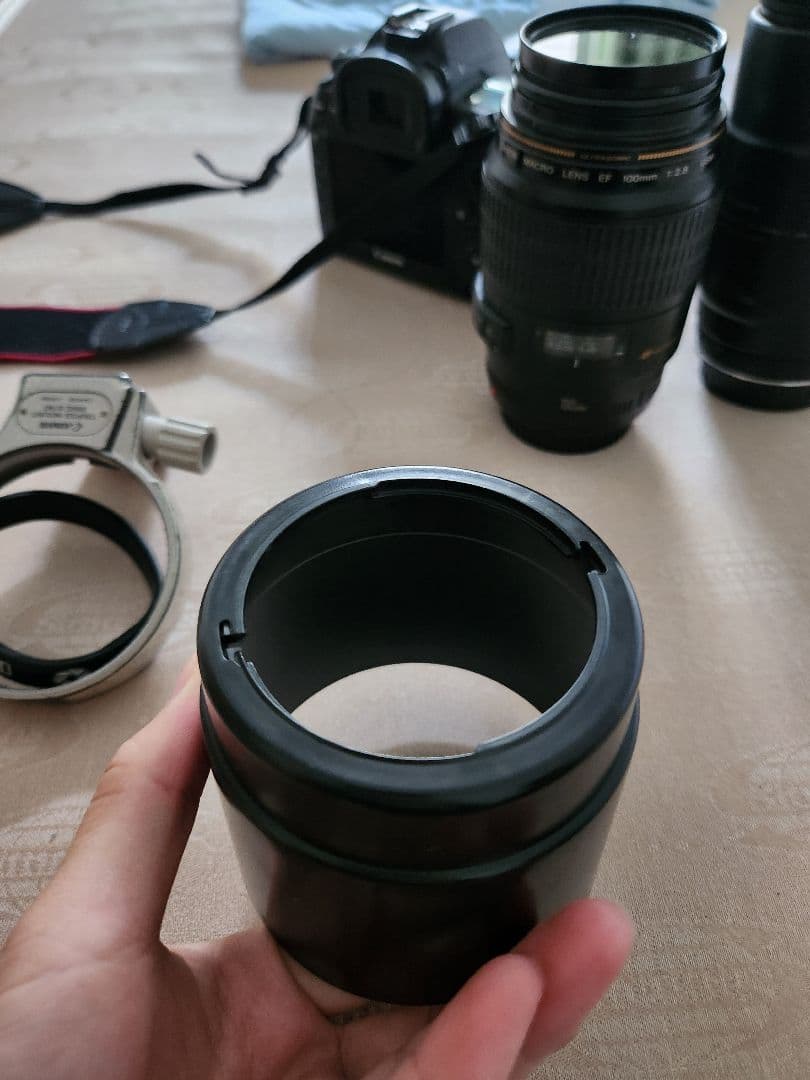 マクロCANON MACRO 1:1 EF 100mm f2.8 USM
