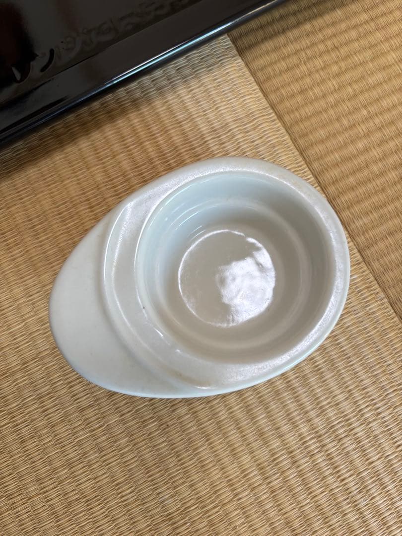 過熱水蒸気オーブンレンジ「RE-SS10X-W」　ジャンク品　庫内底面破損⚠️