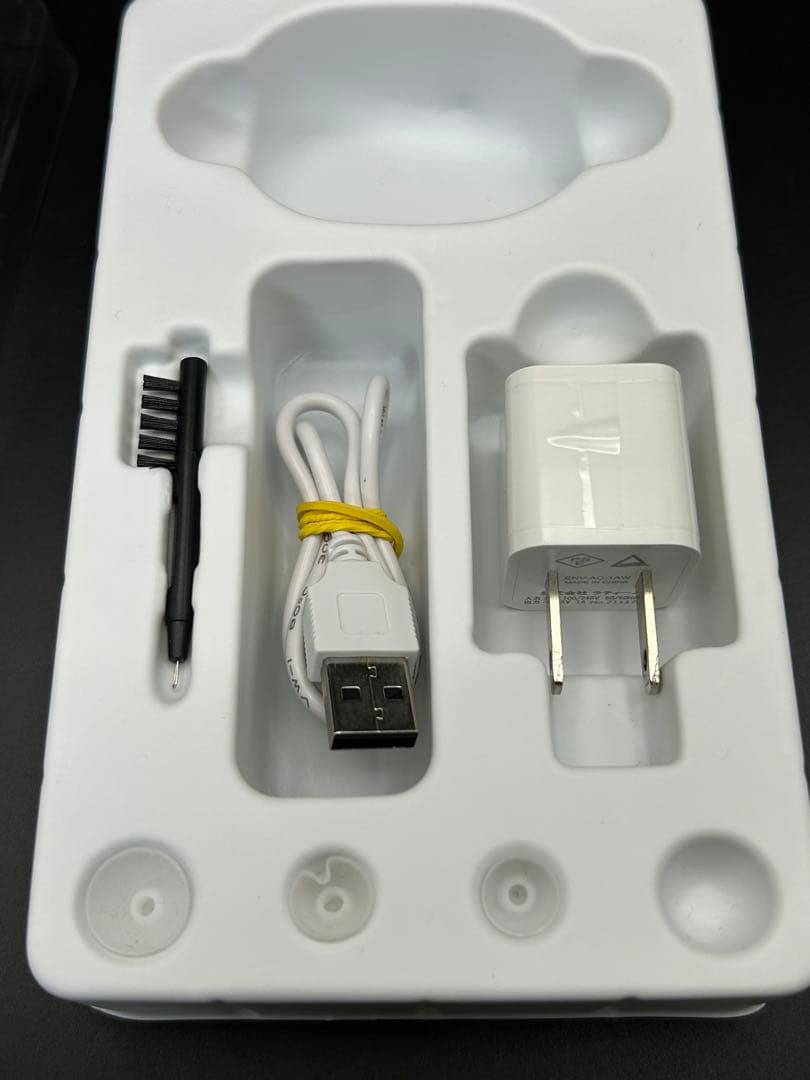 楽ちんヒアリング　SA-01 Shop Japan 両耳用　耳穴型充電式