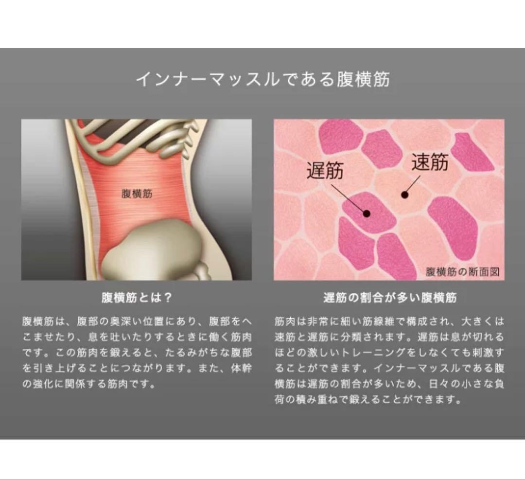 〈値下げ〉SIXPAD Shape SuitEX SP-SE2024F Lサイズ
