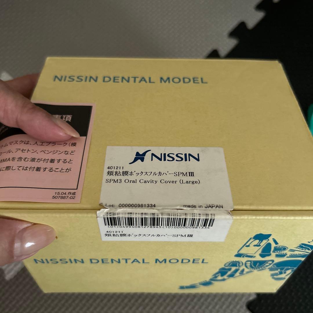 NISSIN歯の模型と、頬粘膜ボックスフルカバー SPMIII