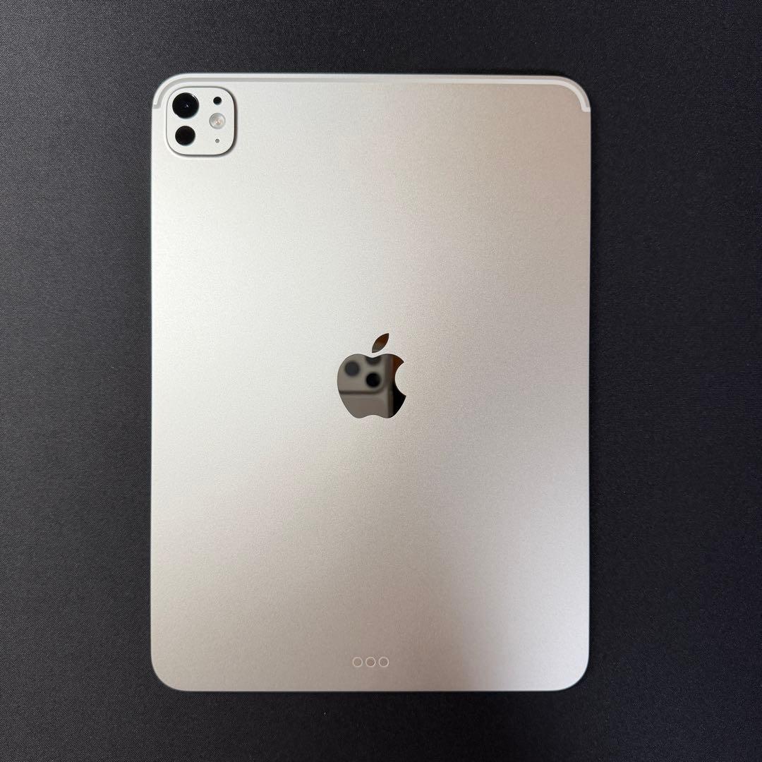極美品 11インチiPad Pro Wi‑Fiモデル 256GB シルバー