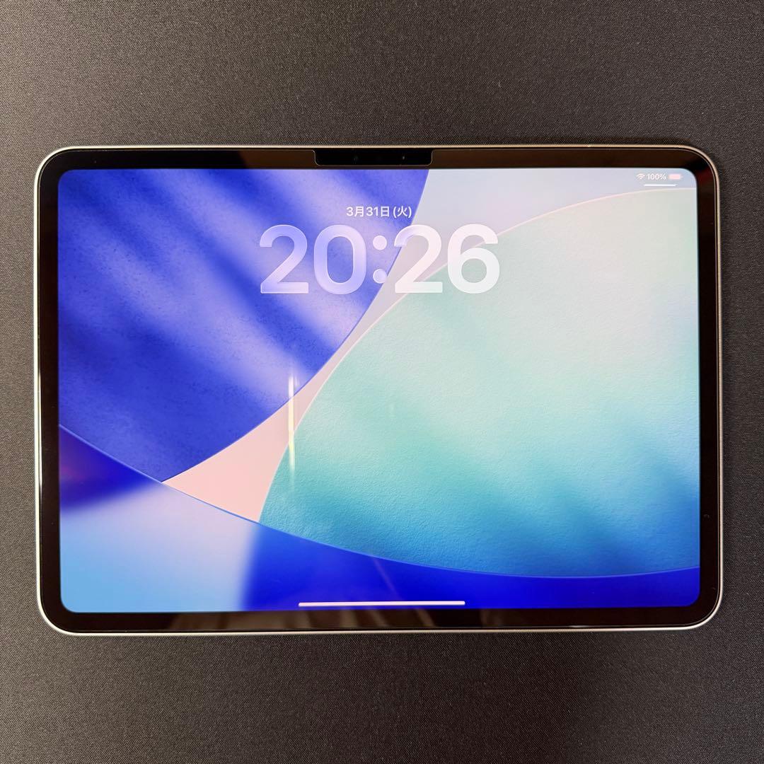 極美品 11インチiPad Pro Wi‑Fiモデル 256GB シルバー