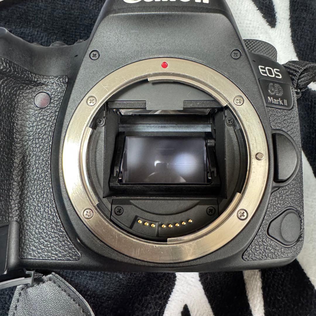 Canon EOS 6D Mark Ⅱ