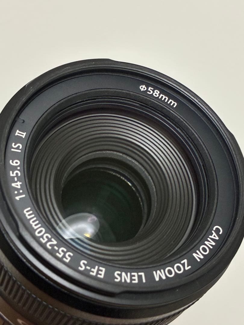 ⭐️美品⭐️ Canon EF-S 55-250mm IS II手ぶれ補正望遠レンズ
