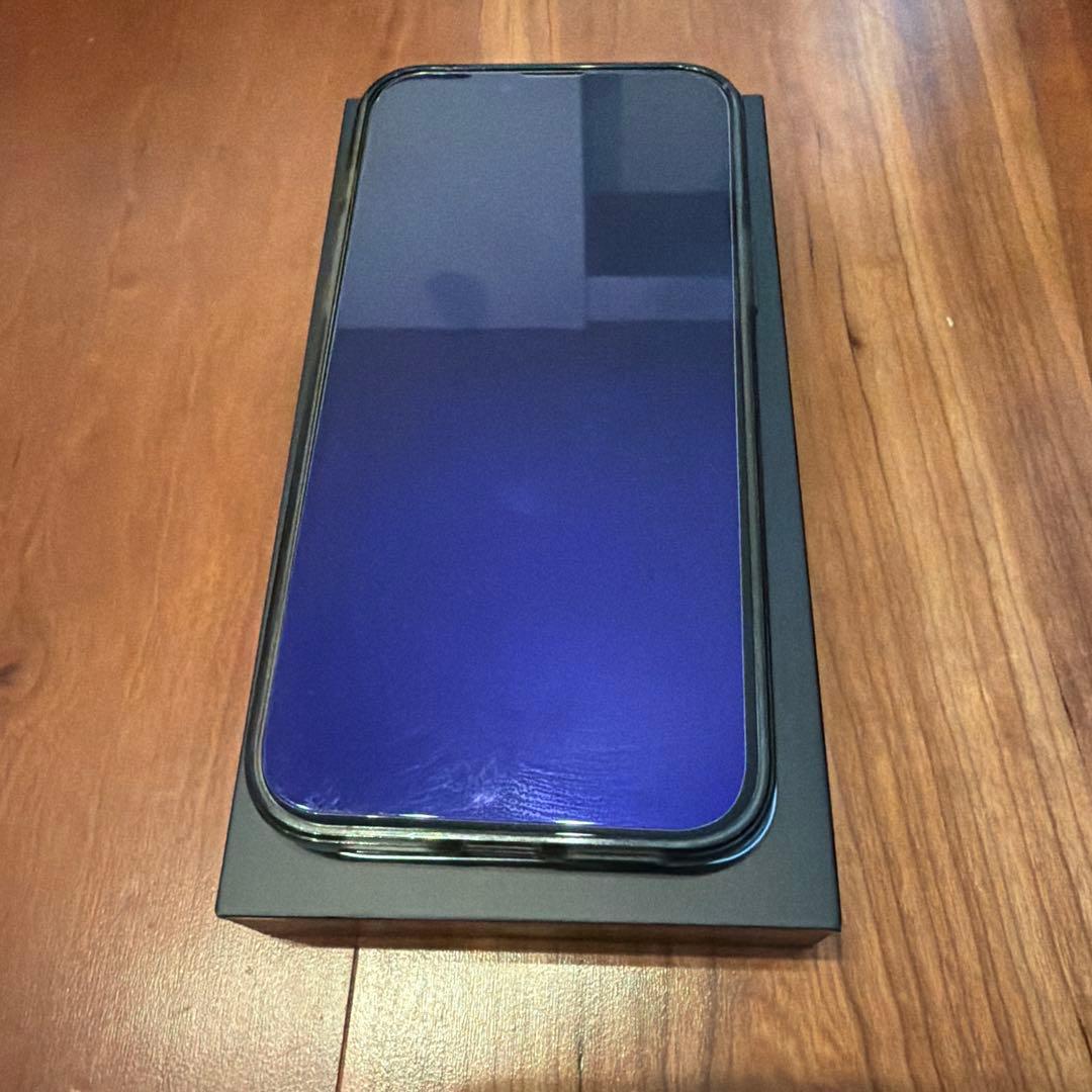 Apple iPhone 13 Promax 256GB シエラブルー
