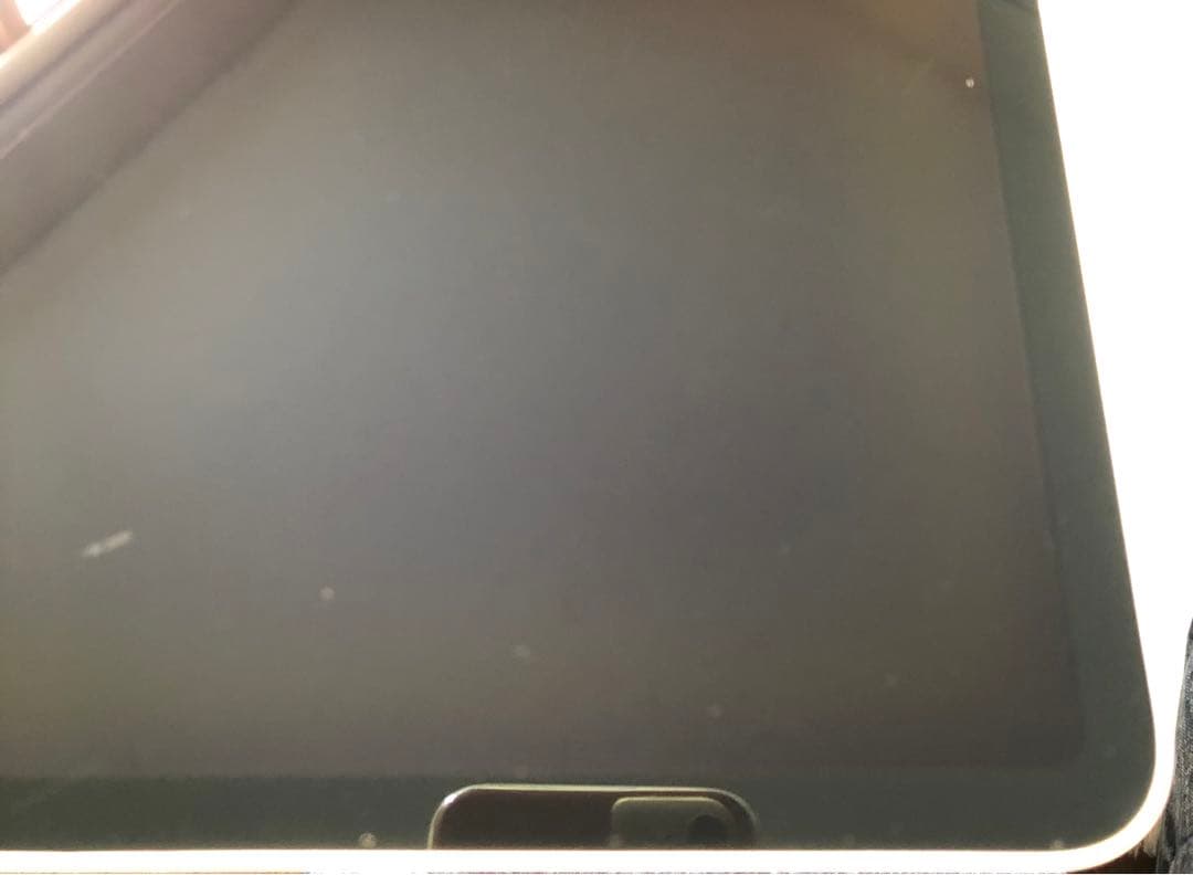 【完動品】iPad Pro 12.9 第3世代 256GB 【すぐ発送】