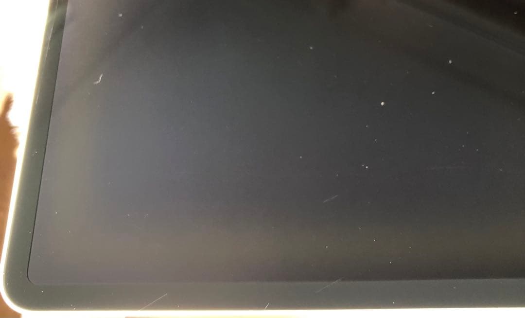 【完動品】iPad Pro 12.9 第3世代 256GB 【すぐ発送】