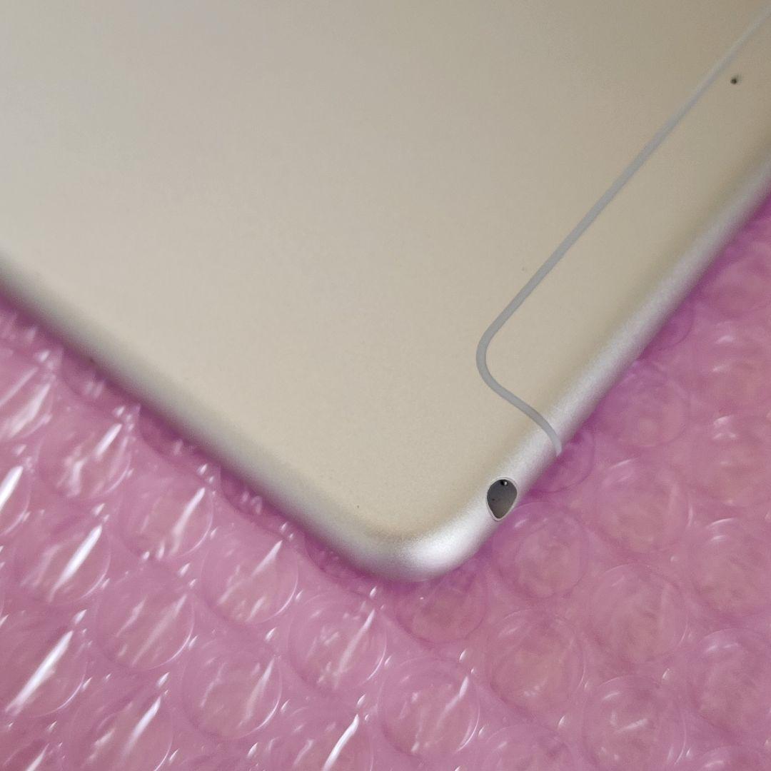 iPad mini 第5世代　本体カバーおまけ　Wi-Fi+Cellular