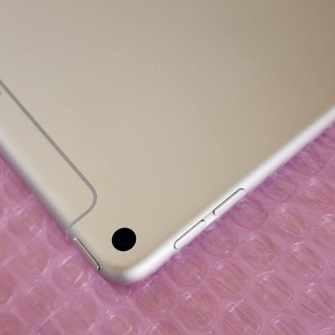 iPad mini 第5世代　本体カバーおまけ　Wi-Fi+Cellular