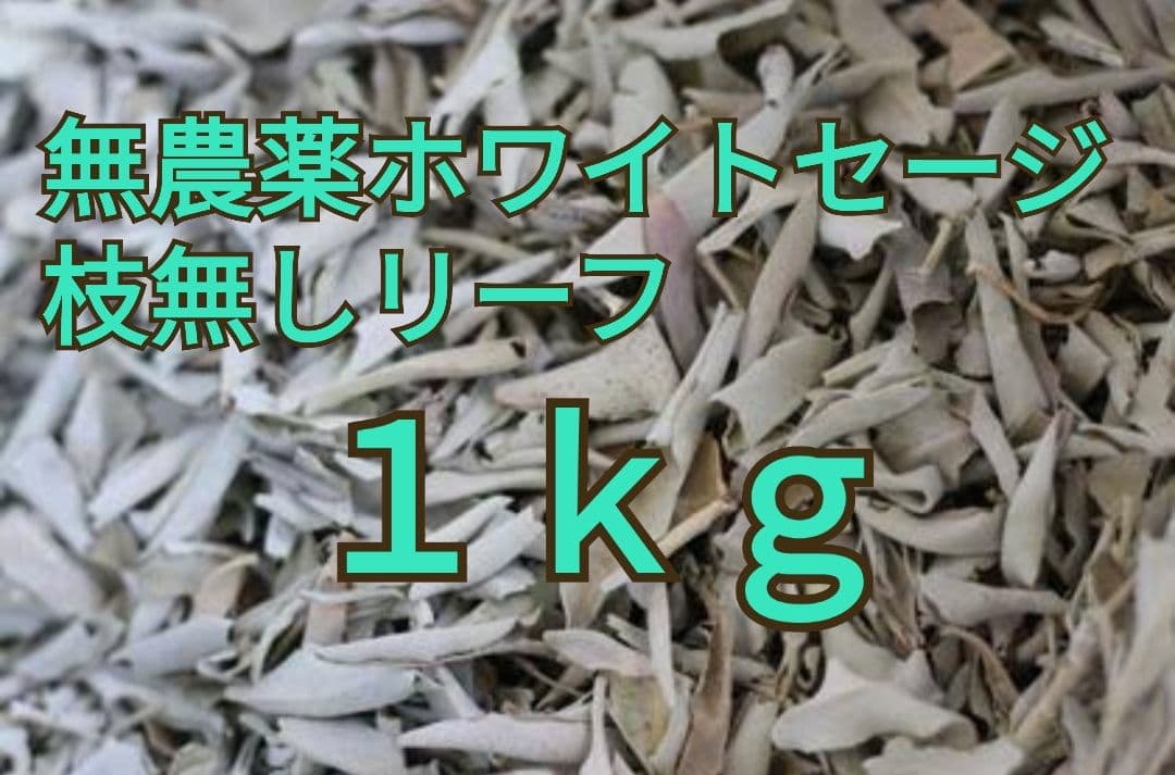 業務用価額タイムセール☆無農薬ホワイトセージ枝無しリーフ1KG浄化お香