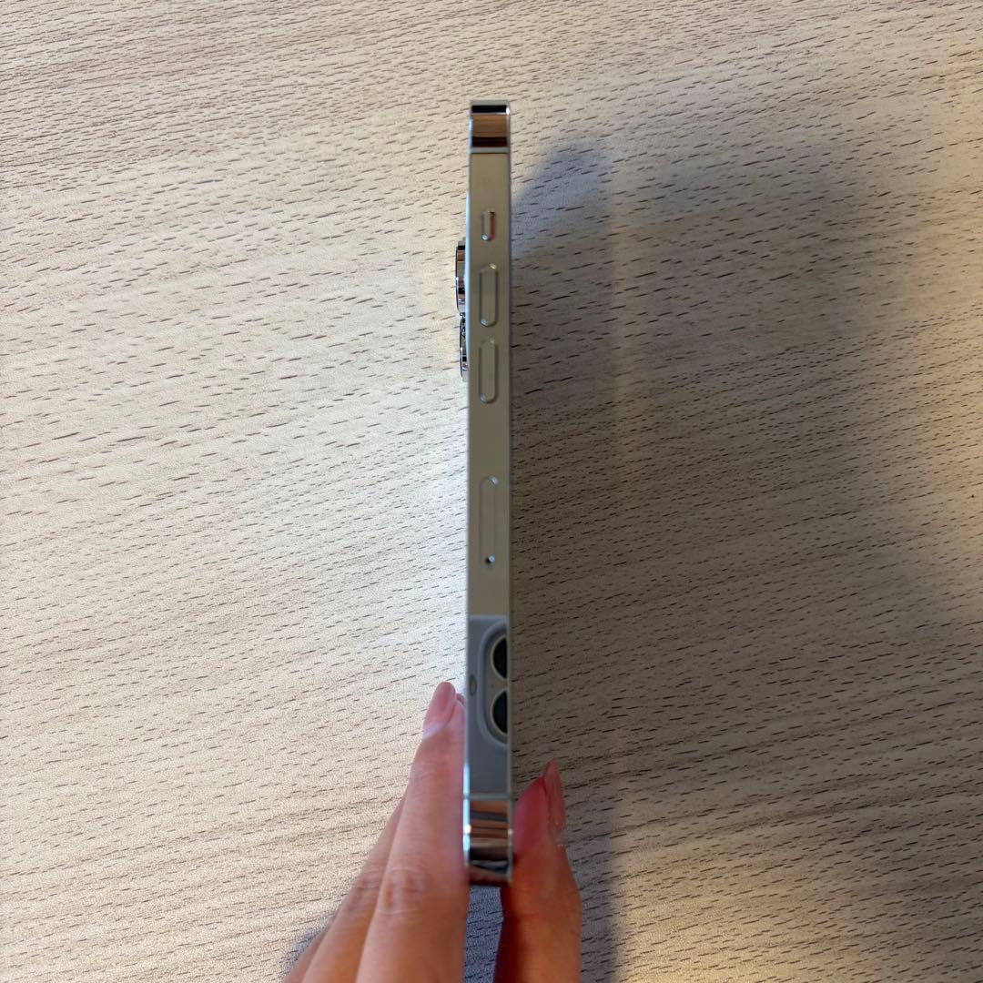 Apple iPhone 14 Pro シルバー 本体 256GB 美品