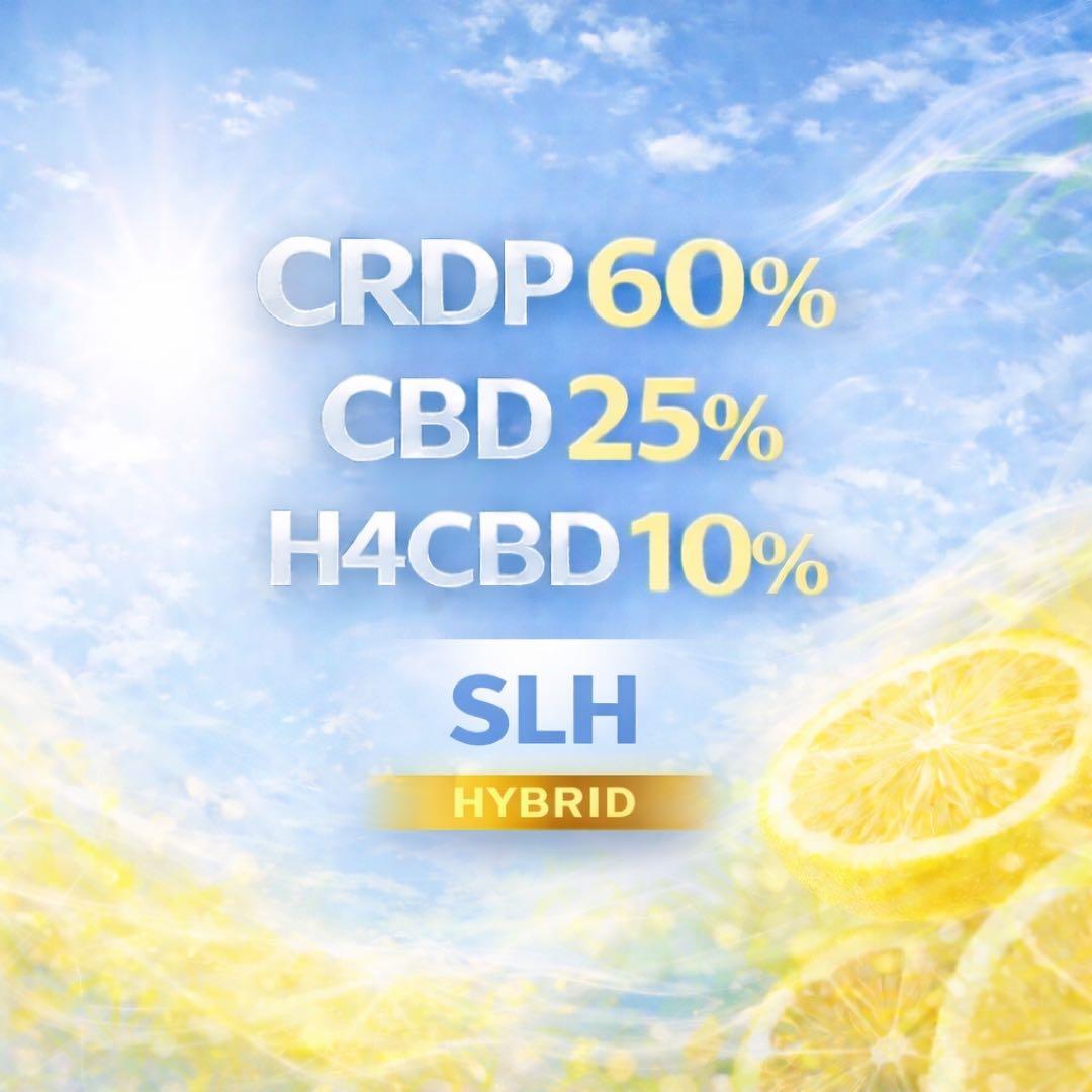 beta  1FE-200【最高品質】２枚CRDR60%