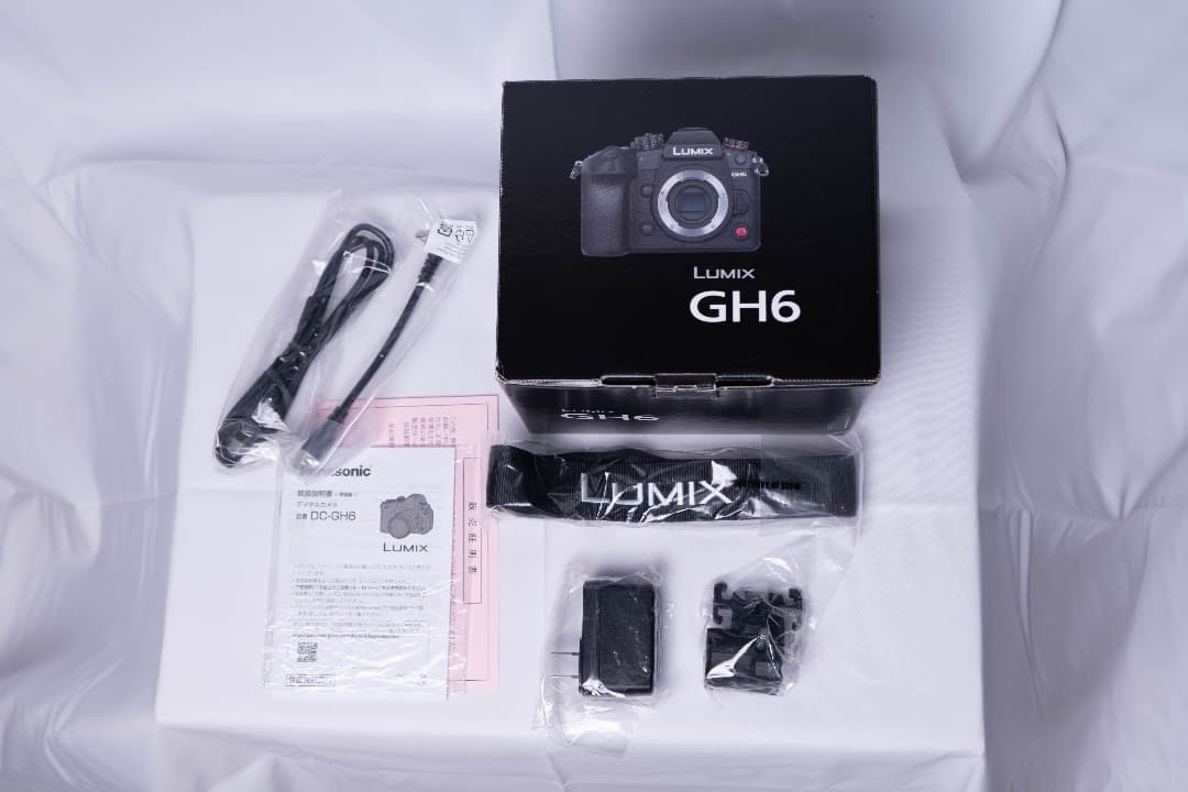 【美品】LUMIX GH6 FALCAM　リグ付き