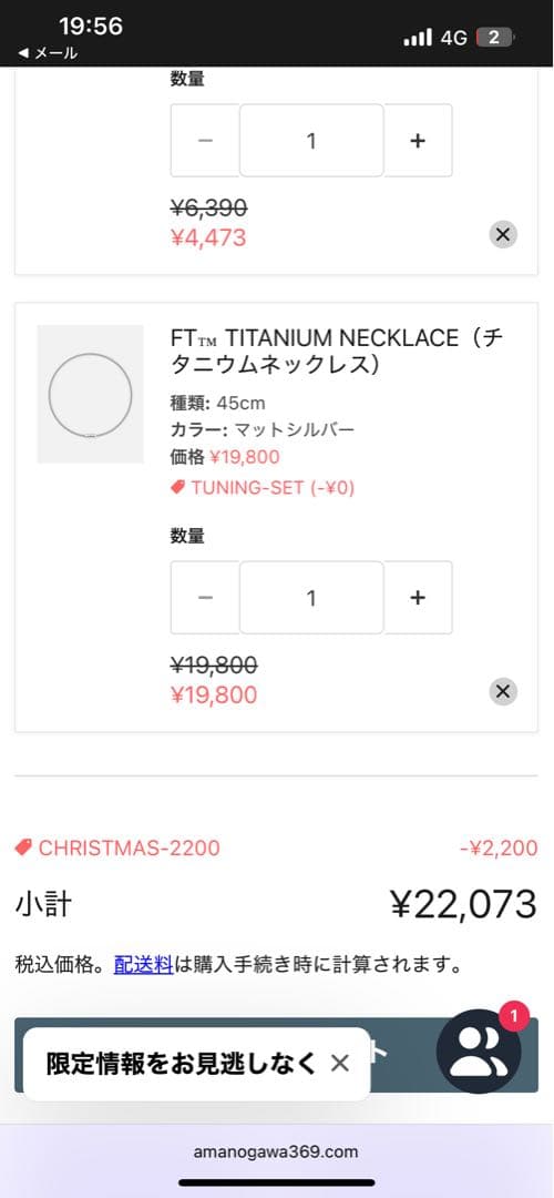 FT™ TITANIUM NECKLACE (チタニウムネックレス) 45cm