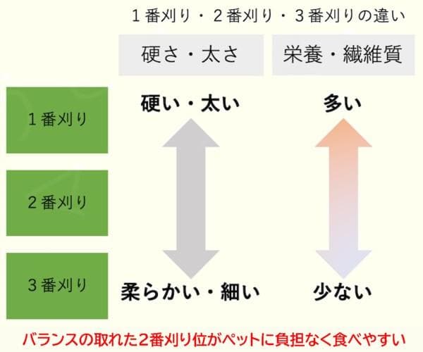【12/30まで】 カナダ産 チモシー 30kg スーパープレミアム １番刈り