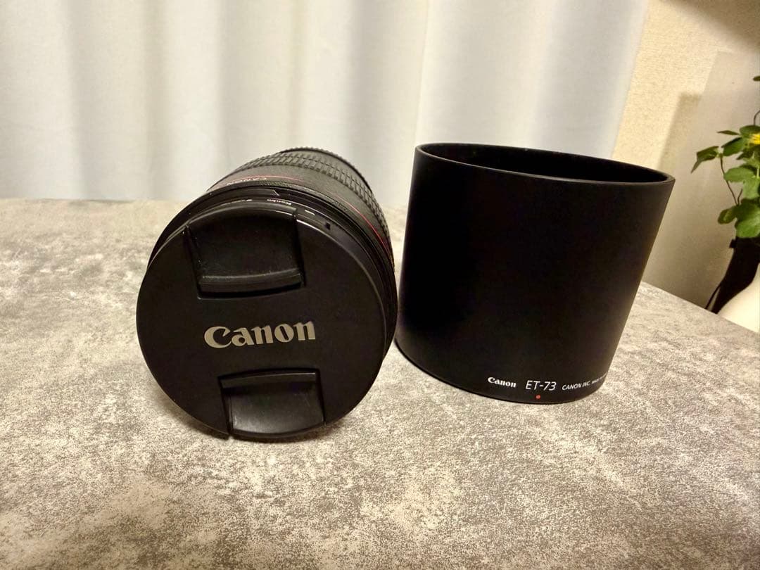 Canon EF 100mm f/2.8L IS USM レンズ　美品 フード付