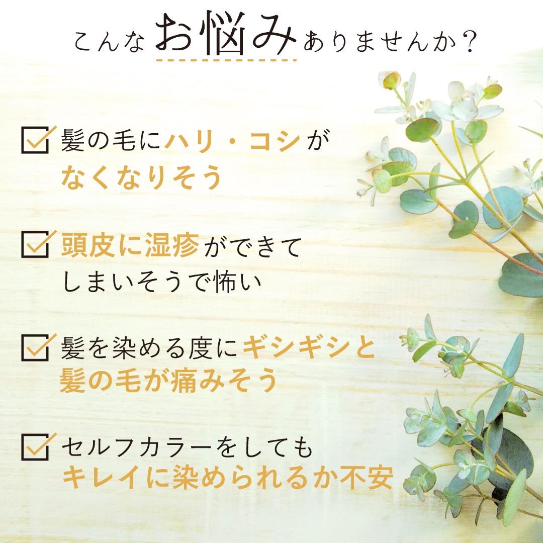 ヘナ白髪染め【最高AAAランク高品質オーガニックヘナ】カーキブラウン100g×3