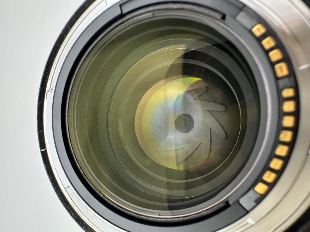 最終値段 Canon RF 85mm F1.2 L USM DS 極美品