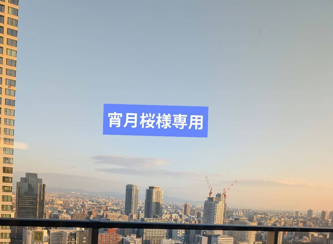 宵月桜