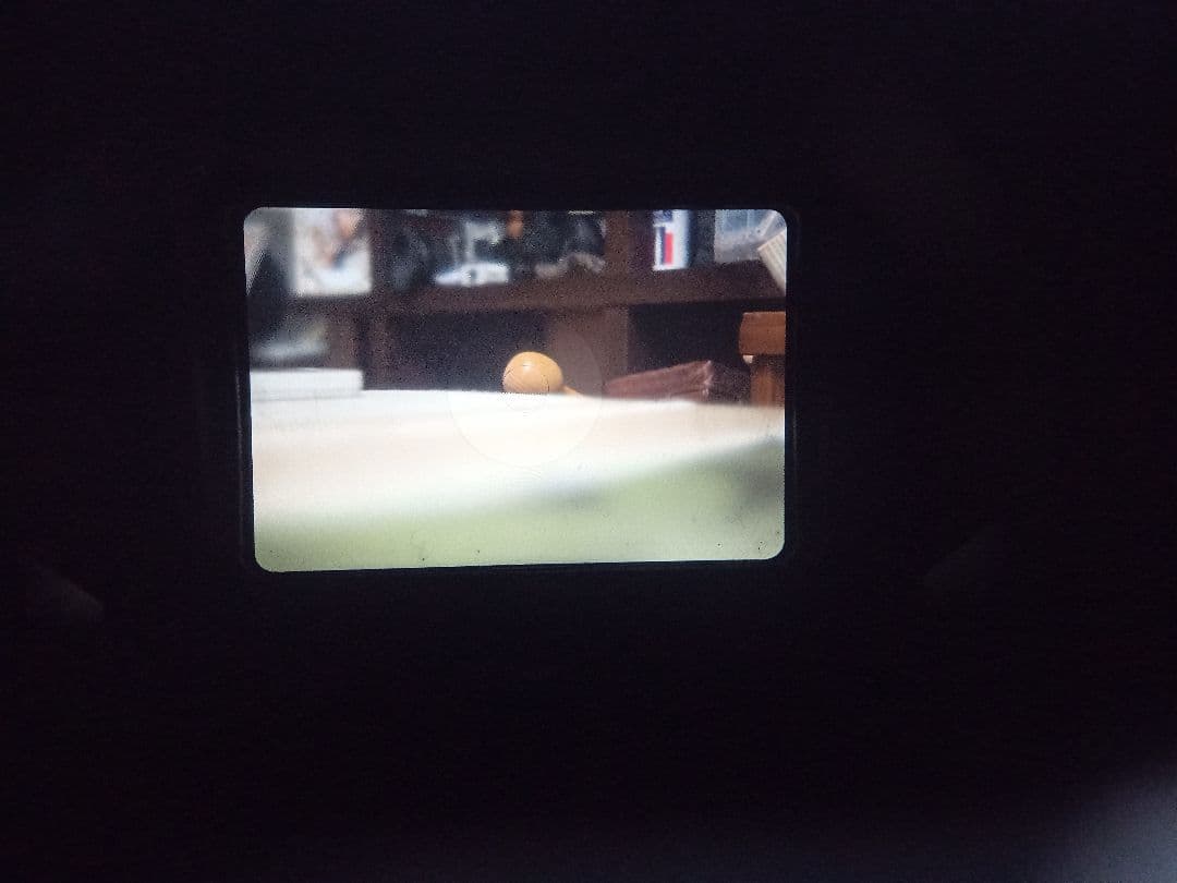作例付 MINOLTA SR-1s ROKKOR-PF 55㎜ 1.7