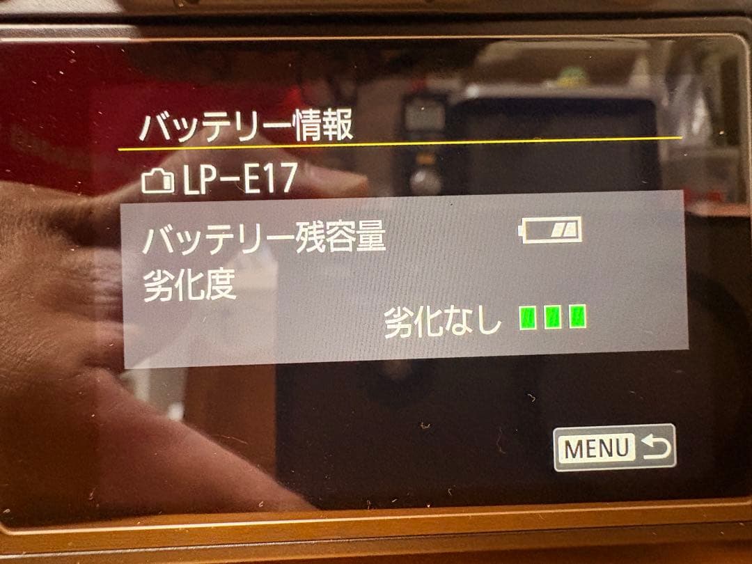 EOSR10,RF-S18-150mm,純正バッテリ×4,カメラケースフィルタ付