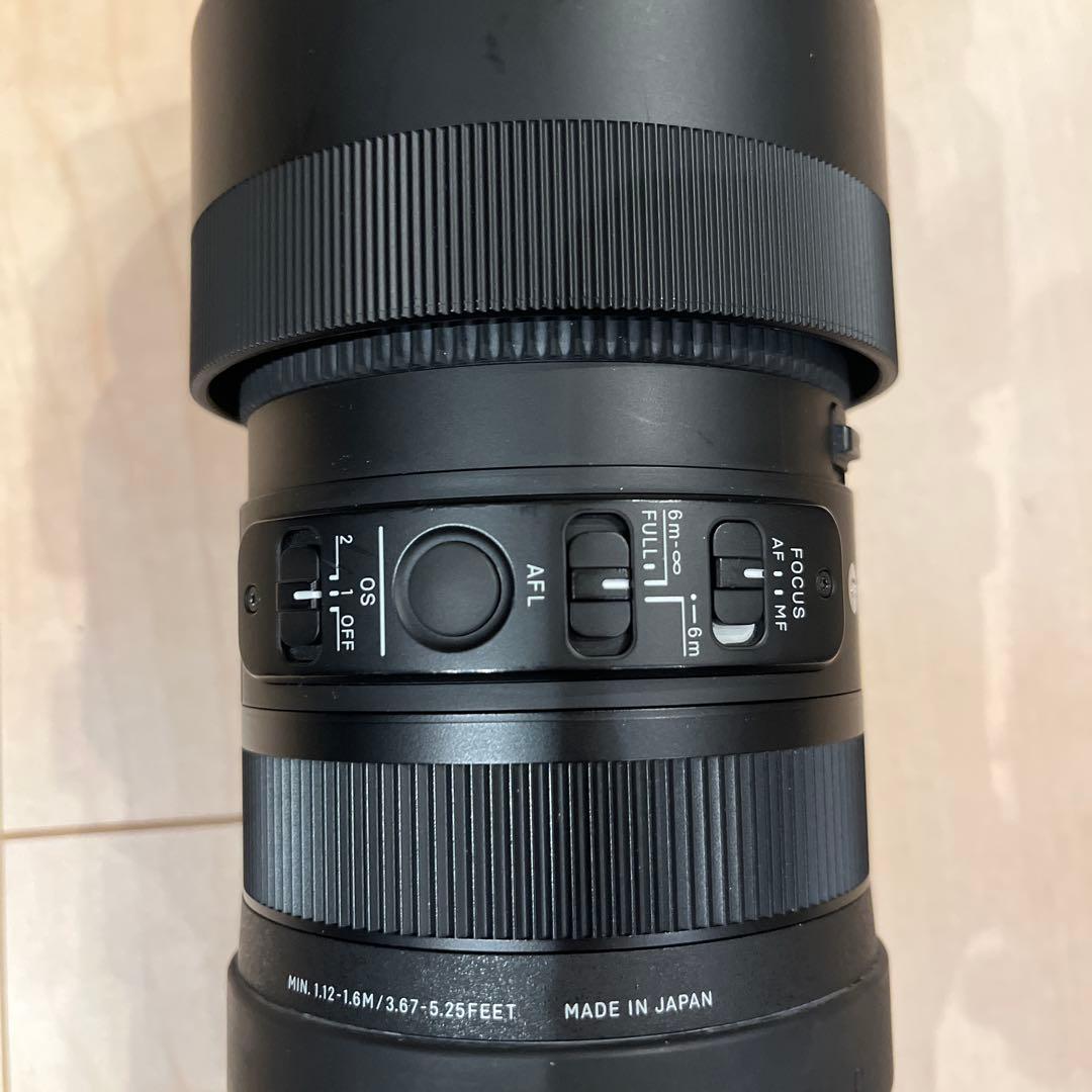 SIGMA 100-400mm F5-6.3 DG DN OS Lマウント