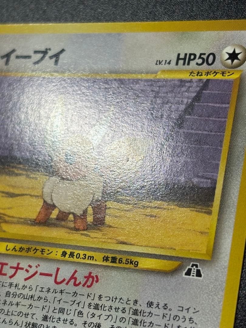 イーブイ LV.14 No.133 プレミアムファイル2 151 Eevee
