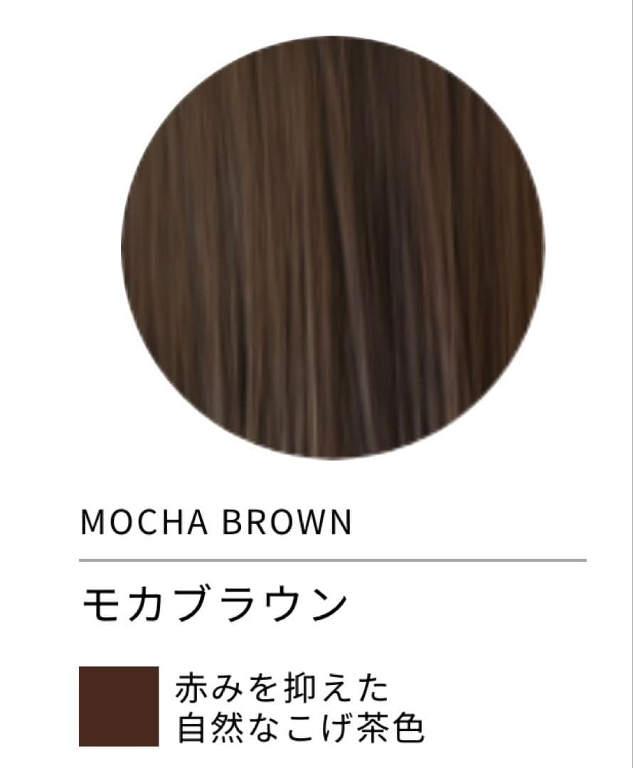 LpLp ヘアカラートリートメント[ダークブラウン]＆[モカブウラン]2本セット
