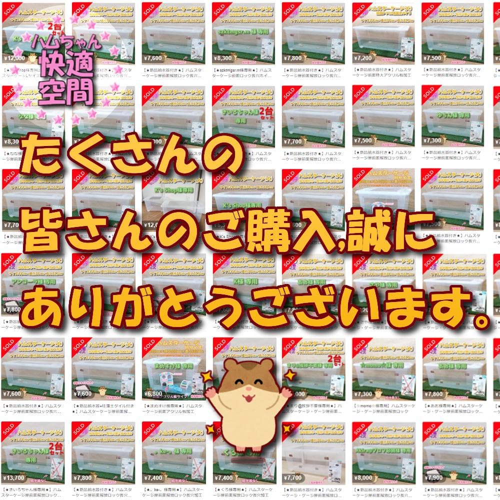 【★大サイズ★】新品 ハムスターケージ 製作台数 限定生産 ハウス 快適 飼育