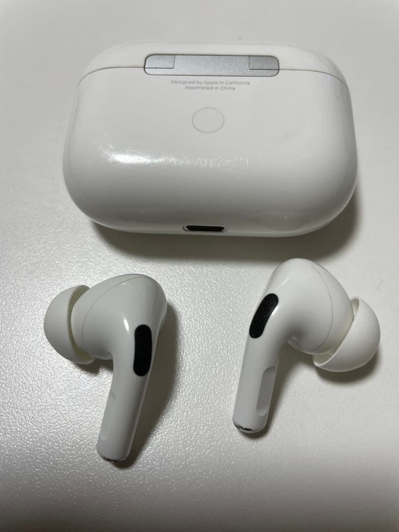 Apple AirPods Pro 第1世代 A2083 リコリスリコイルケース