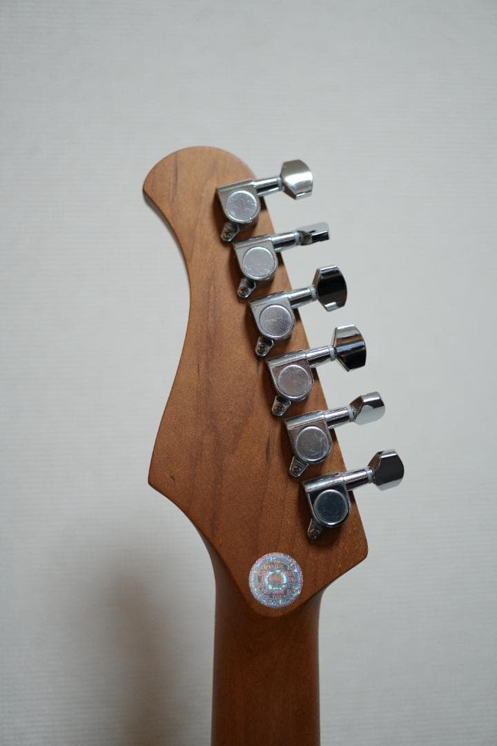 ギター Bacchus GS-2DX RSM/M BLK
