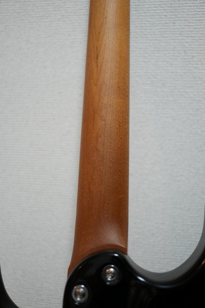 ギター Bacchus GS-2DX RSM/M BLK