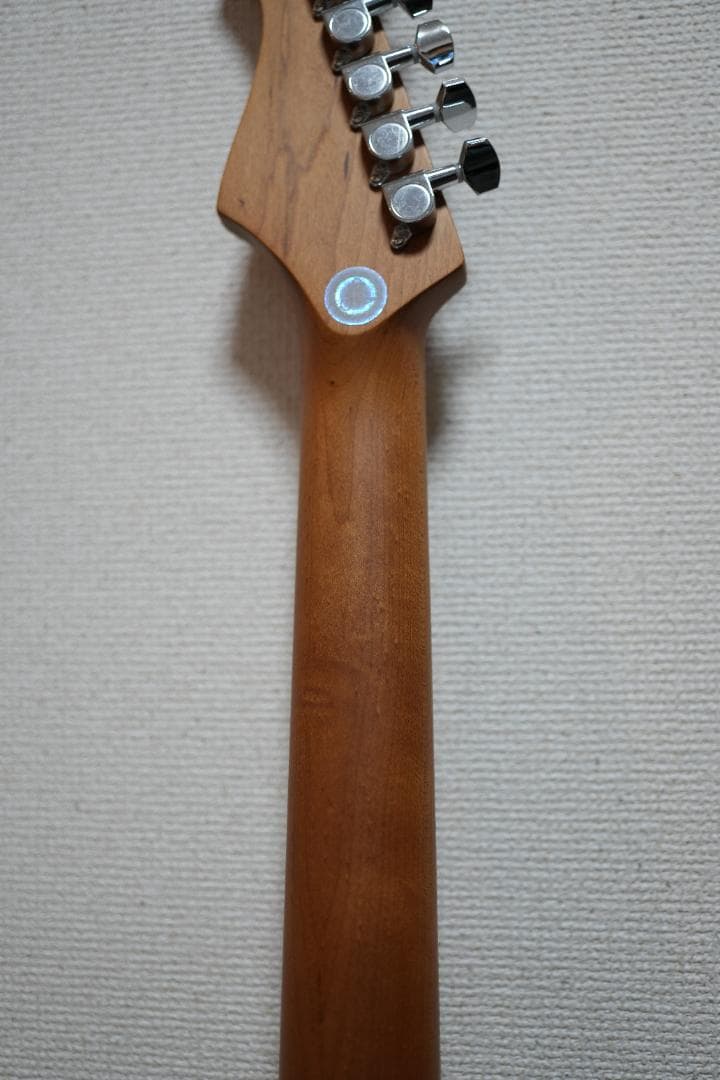 ギター Bacchus GS-2DX RSM/M BLK