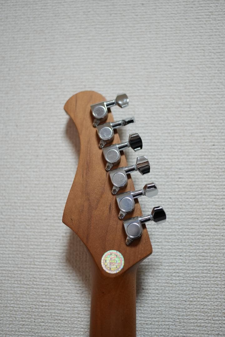 ギター Bacchus GS-2DX RSM/M BLK