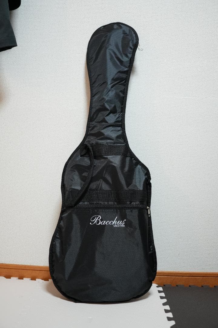 ギター Bacchus GS-2DX RSM/M BLK