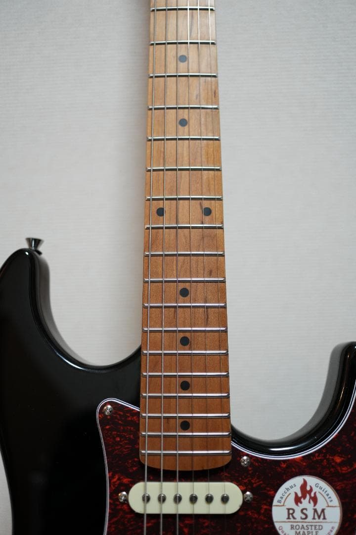 ギター Bacchus GS-2DX RSM/M BLK