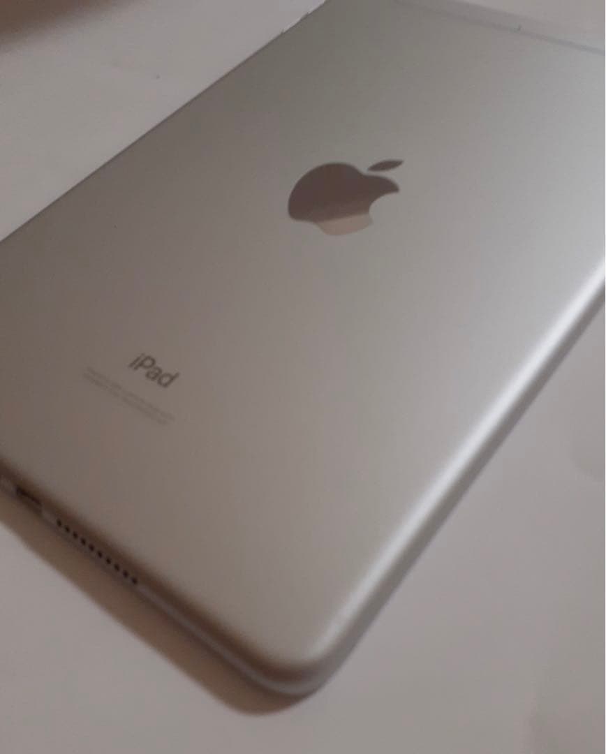iPad mini5 64GB Wi-Fi + cellular シルバー