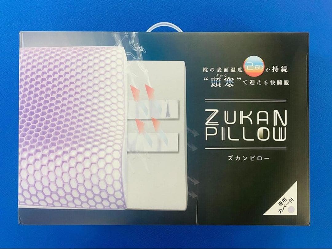 FranceBed ZUKANテクノロジー 保冷枕　ズカンピロー　フランスベッド