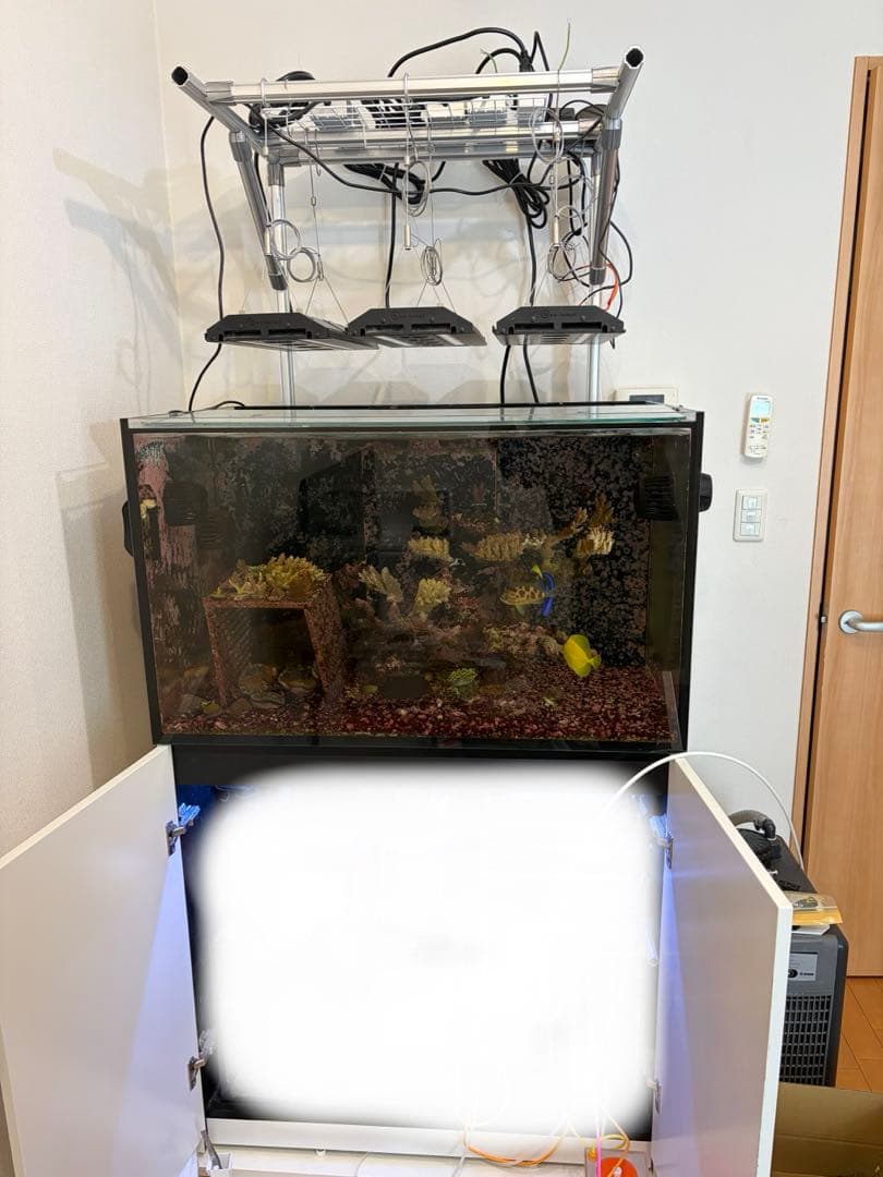 【引き取り限定】【東京都西東京市】RedSea REEFER300 G1