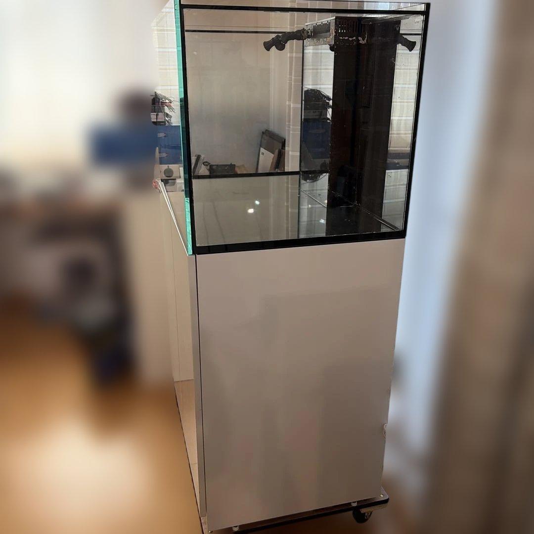 【引き取り限定】【東京都西東京市】RedSea REEFER300 G1