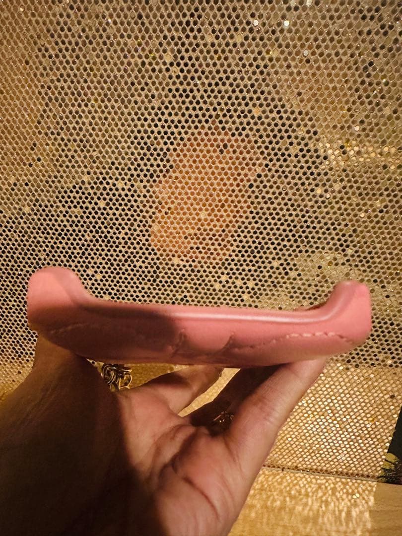 Dior iPhone 12Proケース