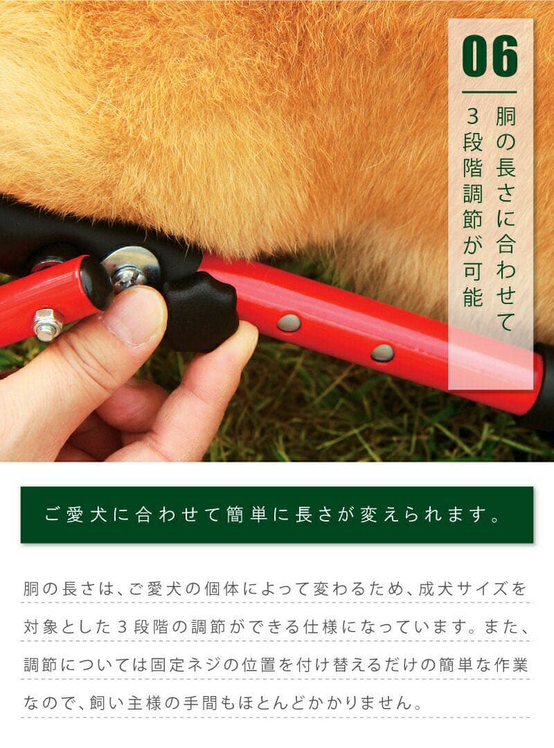コーギー専用犬用車椅子 日本製