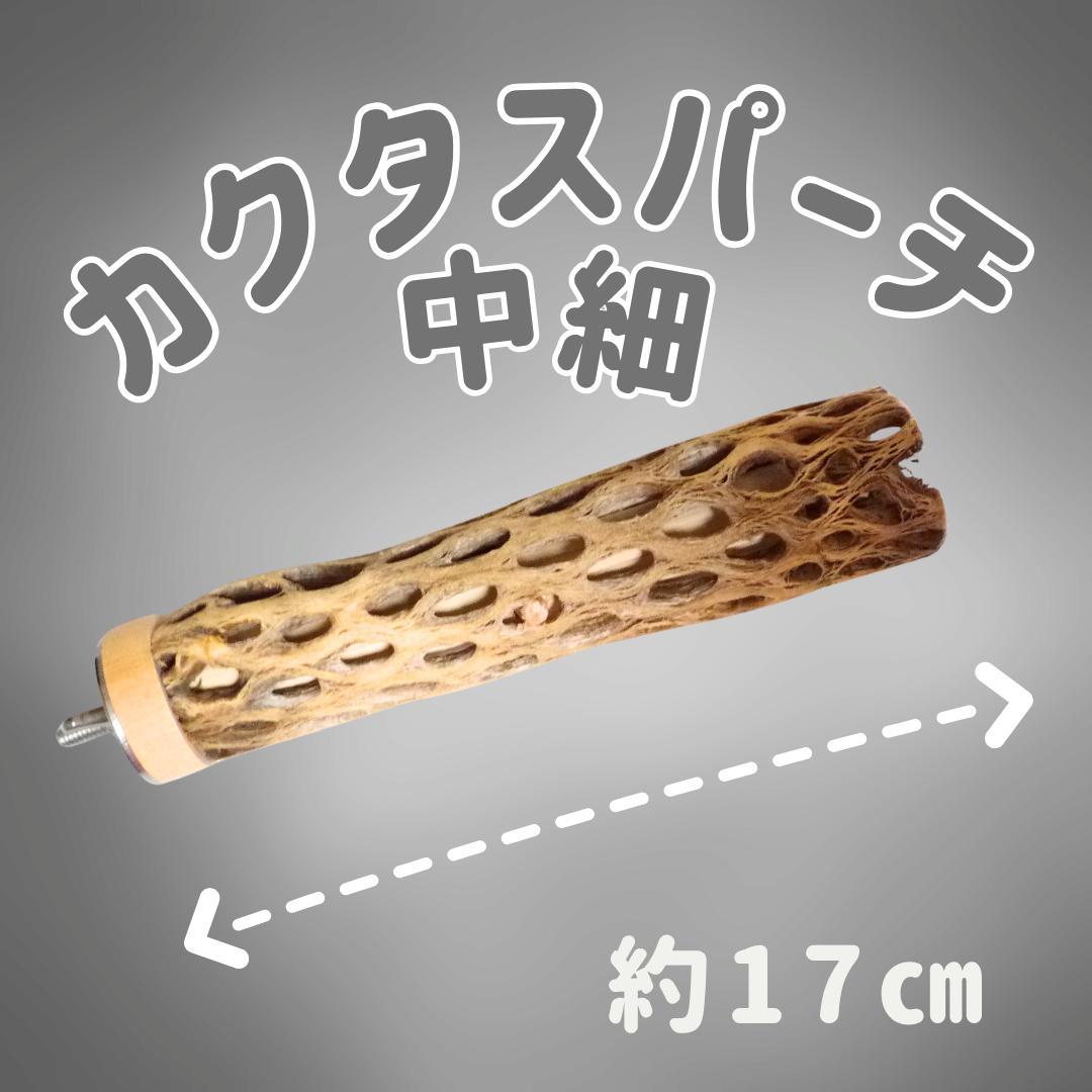 あお　カクタスパーチ　No.706、707、128,、673