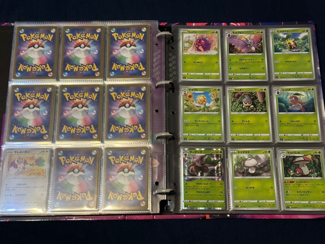 ポケモンカード バインダー まとめ売り コンプリート ファイル付き