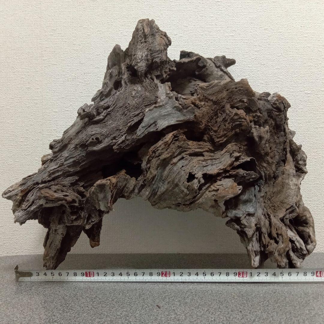 40cm美形大型流木　No.314　まとめ買い割引対象商品